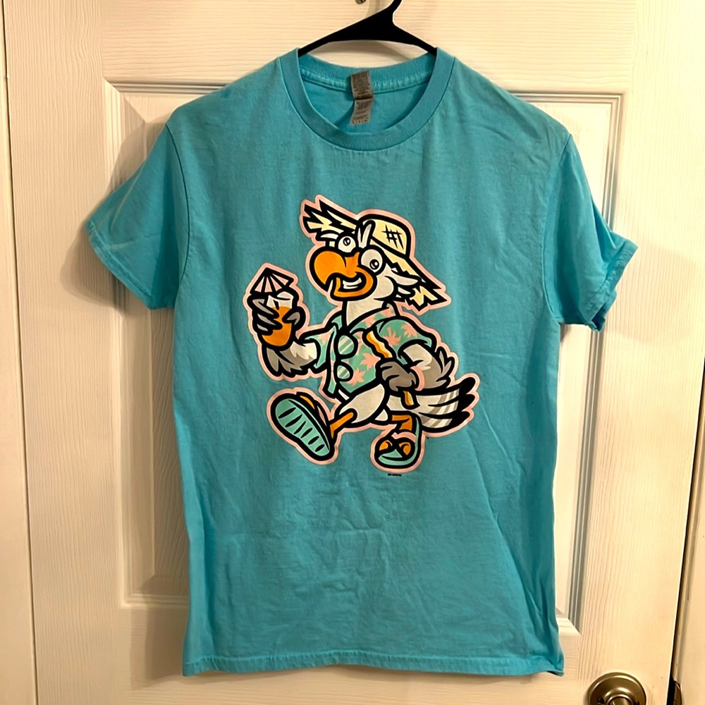 Biloxi Beach Chickens T-Shirt, Teal, Unisex Size Small